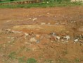 /album/ruas-de-aguas-lindas-/a2013-04-06-10-14-25-jpg/